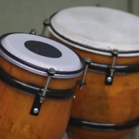 A pair of wooden bongo drums with natural heads
